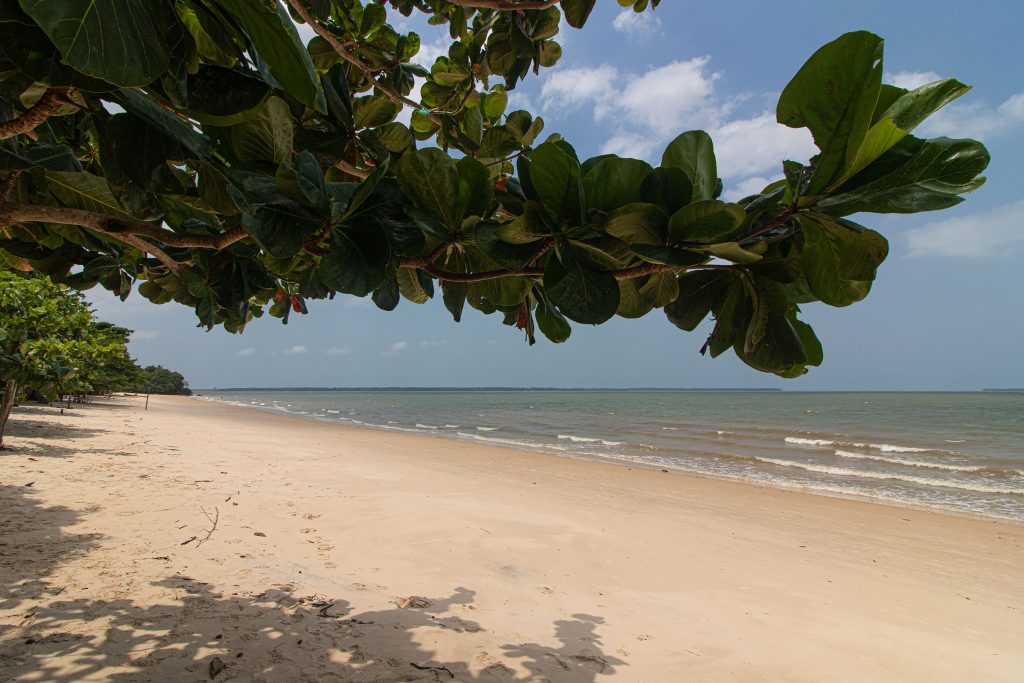 PRAIA GRANDE - FLÁVIO CARDOSO - IMG_2523